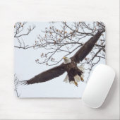 Bald Eagle Wingspread Muismat (Met muis)