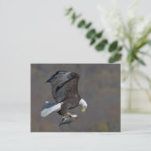 Bald Eagle with a fish Briefkaart (Staand voorkant)