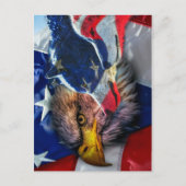 Bald Eagle Wolf American Flag Briefkaart (Voorkant)