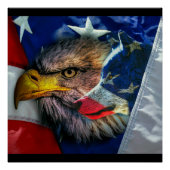 Bald Eagle Wolf American Flag Perfect Poster (Voorkant)