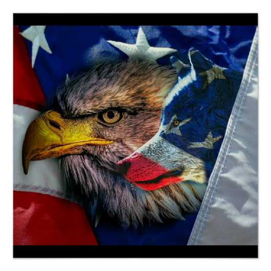 Bald Eagle Wolf American Flag Perfect Poster (Voorkant)