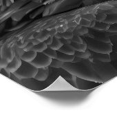 Bald Eagle Woodland Modern Portret zwart wit Poster (Hoek)