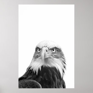 Bald Eagle Woodland Modern Portret zwart wit Poster