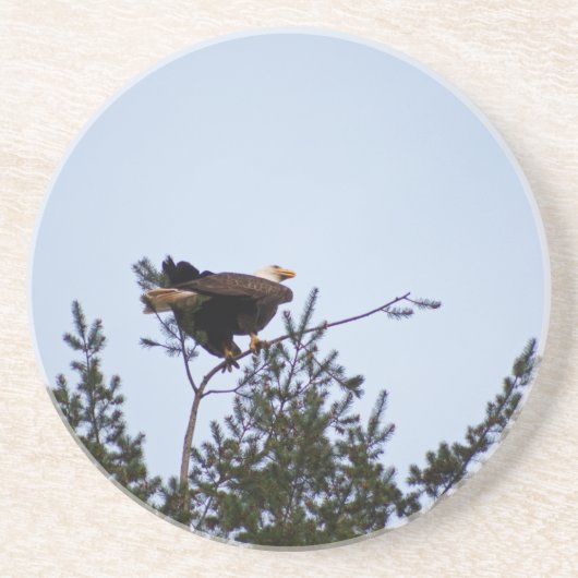 Bald Eagle Zandsteen Onderzetter (Voorkant)