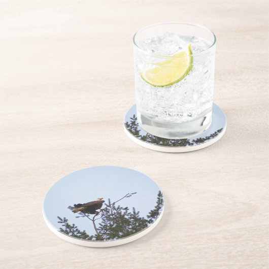 Bald Eagle Zandsteen Onderzetter (Zijkant)