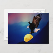Bald Eagle zoekt de volle maan Briefkaart (Voorkant / Achterkant)
