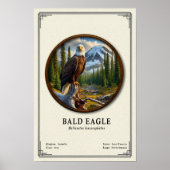 Bald Eagle Zoology Series Poster (Voorkant)