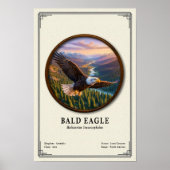 Bald Eagle Zoology Series Poster (Voorkant)