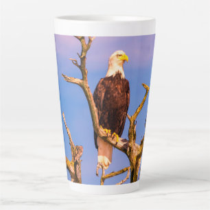 Bald Eagle, Zuidelijke Golfeilanden, BC Latte Mok