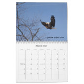 Bald Eagles 2015 Kalender (Mar 2027)