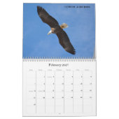 Bald Eagles 2015 Kalender (Feb 2027)