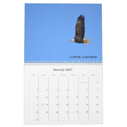 Bald Eagles 2015 Kalender (Jan 2027)