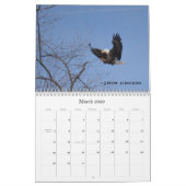 Bald Eagles 2015 Kalender (Mar 2026)