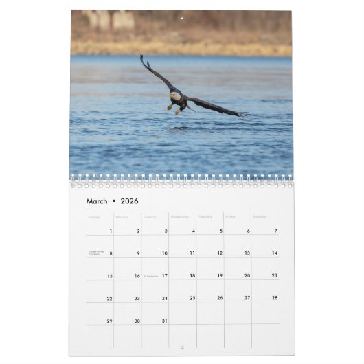 Bald Eagles 2026 Kalender (Mar 2026)