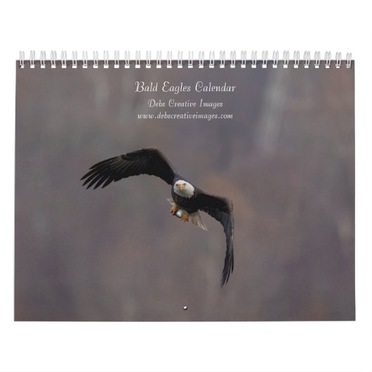 Bald Eagles 2026 Kalender (Hoes)