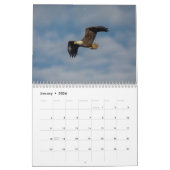 Bald Eagles 2026 Kalender (Jan 2026)