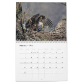Bald Eagles 2026 Kalender (Feb 2027)