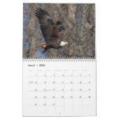 Bald Eagles 2026 Kalender (Mar 2026)