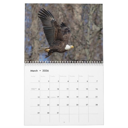 Bald Eagles 2026 Kalender (Mar 2026)