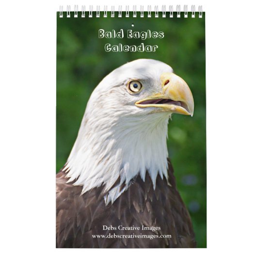 Bald Eagles 2026 Kalender (Hoes)