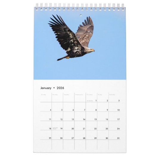 Bald Eagles 2026 Kalender (Jan 2026)