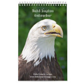 Bald Eagles 2026 Kalender (Hoes)