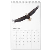 Bald Eagles 2026 Kalender (Mar 2026)