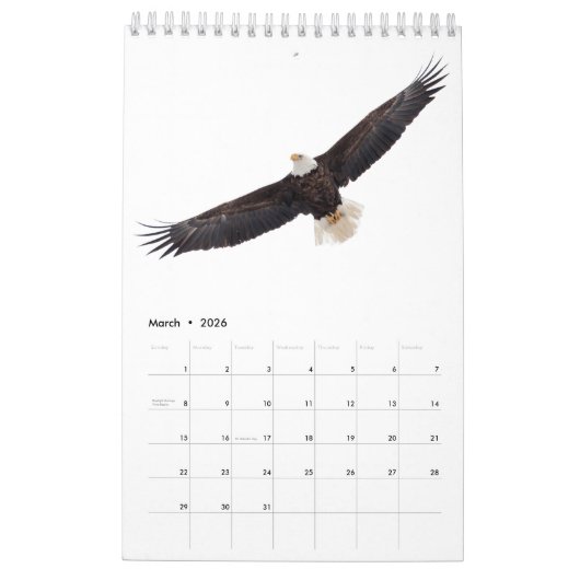 Bald Eagles 2026 Kalender (Mar 2026)