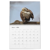 Bald Eagles 2026 Kalender (Mar 2026)
