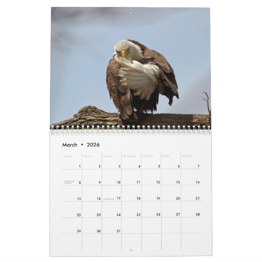 Bald Eagles 2026 Kalender (Mar 2026)