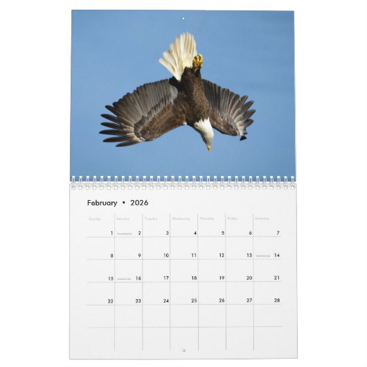 Bald Eagles 2026 Kalender (Feb 2026)