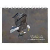 Bald Eagles 2026 Kalender (Hoes)