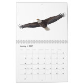 Bald Eagles 2026 Kalender (Jan 2027)