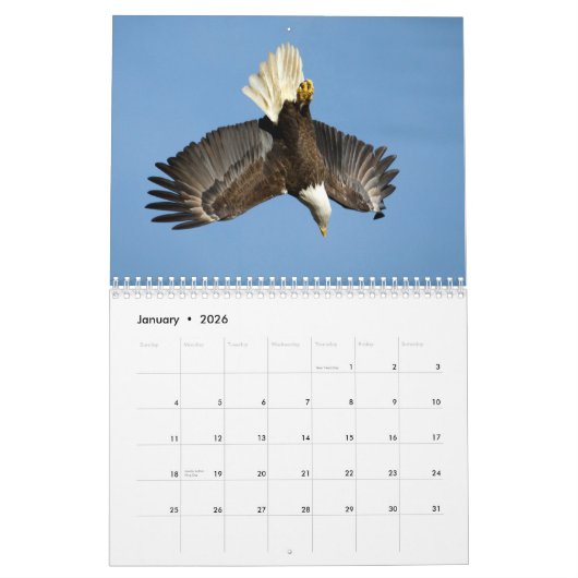 Bald Eagles 2026 Kalender (Jan 2026)