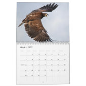 Bald Eagles 2026 Kalender (Mar 2027)