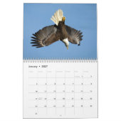 Bald Eagles 2026 Kalender (Jan 2027)