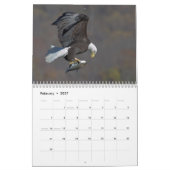 Bald Eagles 2026 Kalender (Feb 2027)