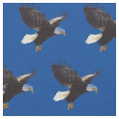 Bald Eagles American Bird Stof (Close Up)