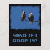 Bald Eagles Briefkaart (Voorkant)
