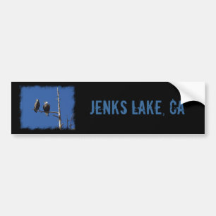 Bald Eagles Bumpersticker