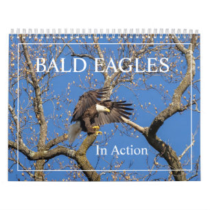Bald Eagles in actie kalender