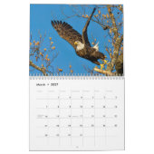 Bald Eagles in actie kalender (Mar 2027)