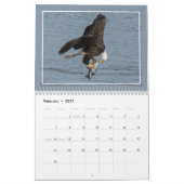Bald Eagles in actie kalender (Feb 2027)