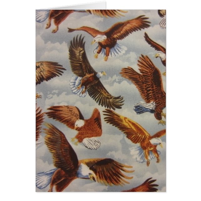 Bald Eagles in Flight (Voorkant)