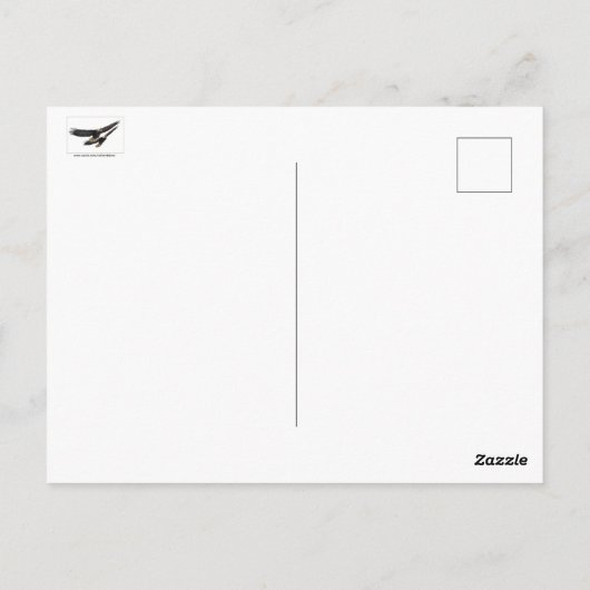 Bald Eagles, jeneverbes omhoog Briefkaart (Achterkant)
