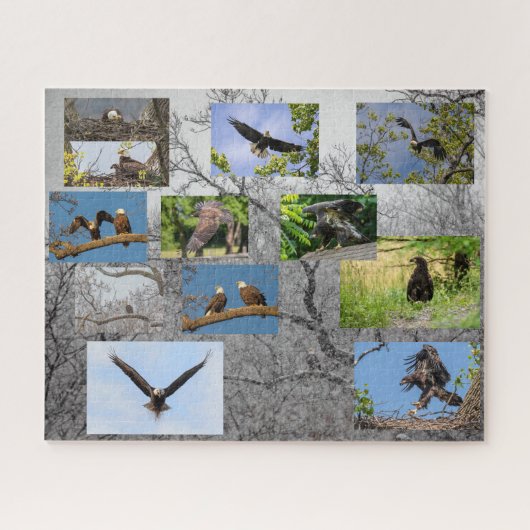 Bald Eagles, jeneverbes omhoog Legpuzzel (Horizontaal)