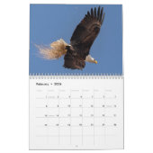 Bald Eagles Kalender (Feb 2026)