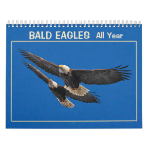 Bald Eagles Kalender