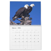 Bald Eagles Kalender (Feb 2026)