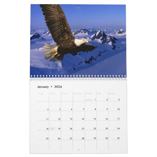 Bald Eagles Kalender (Jan 2026)